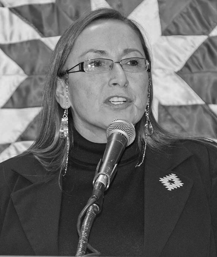 nsn-diannedesrosiers.jpg